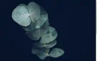 Wiebrig.nl Screenshot 2024-06-16 13:13:09