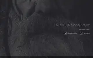 Numitor.pl Screenshot 2024-06-30 09:33:54
