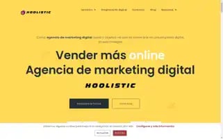 Hoolisticagency.com Screenshot 2024-06-16 03:51:45