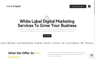 Divein2.digital Screenshot 2024-06-27 05:12:41