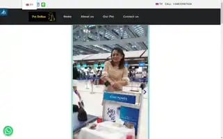 Mdelion.com Screenshot 2024-05-23 21:38:36