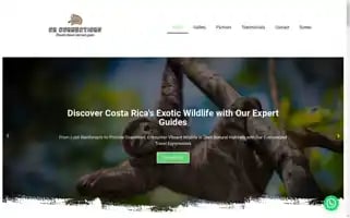 Crconnectionscostarica.com Screenshot 2024-05-28 12:38:37