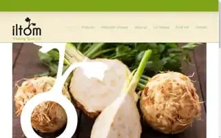 Iltom.com Screenshot 2024-07-02 17:11:30