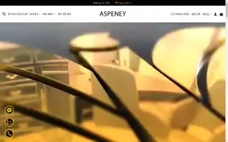 Aspeney.com Screenshot 2024-05-24 10:05:22