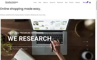 Strivesyncsolutions.com Screenshot 2024-05-28 22:40:10