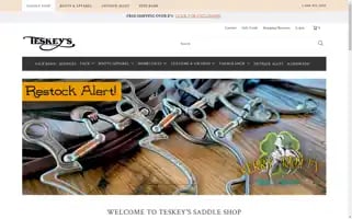 Teskeys.com Screenshot 2024-05-05 06:24:51