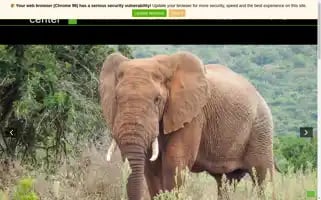 Addotravelcenter.co.za Screenshot 2024-04-23 04:37:14