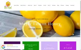 Beewild.buzz Screenshot 2024-05-05 18:38:01