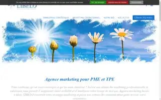 Libelo.fr Screenshot 2024-06-14 11:56:20