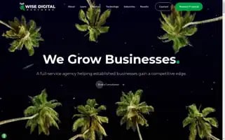 Wisedigitalpartners.com Screenshot 2024-06-13 04:13:30