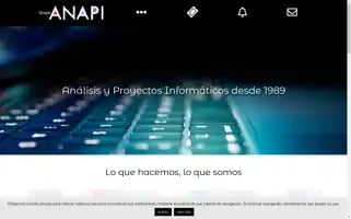 Anapi.com Screenshot 2024-07-01 13:05:33