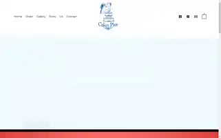 Cakesplus.com Screenshot 2024-05-15 16:15:18