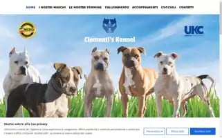 Clementiskennel.com Screenshot 2024-07-10 05:57:15