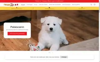 Palaiscanin.com Screenshot 2024-05-04 00:52:58