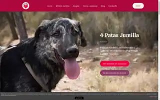 Cuatropatasjumilla.com Screenshot 2024-07-09 17:46:56