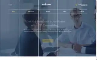 Codeneer.com Screenshot 2024-05-27 06:14:06