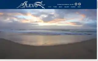Levotours.com Screenshot 2024-04-14 20:34:58