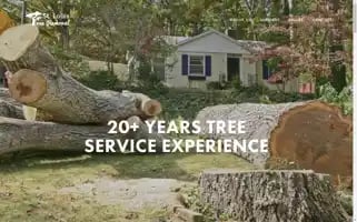 Stltreeremoval.com Screenshot 2024-06-13 11:09:55