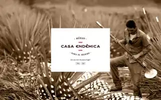 Casaendemica.com Screenshot 2024-05-20 06:44:40