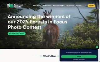Americanforests.org Screenshot 2024-06-16 06:24:25
