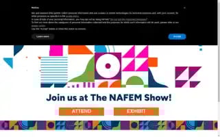 Thenafemshow.org Screenshot 2024-07-05 08:10:18