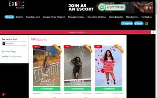 Exotictogo.com Screenshot 2024-06-18 21:47:32