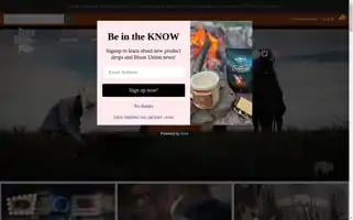 Bisonunion.com Screenshot 2024-05-08 19:29:59