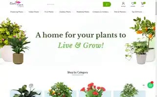 Exoticflora.in Screenshot 2024-05-04 04:07:05