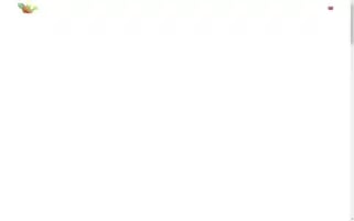 Souimanga-hotel.com Screenshot 2024-04-17 02:27:06