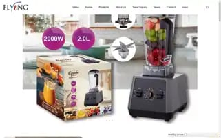 Flyingelectronic.com Screenshot 2024-05-09 18:21:27