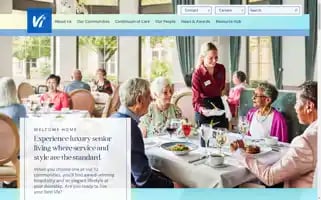 Viliving.com Screenshot 2024-06-28 19:43:39