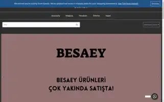 Besaey.com Screenshot 2024-05-27 08:59:15