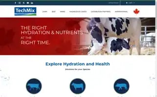 Techmixcanada.ca Screenshot 2024-05-21 08:48:52