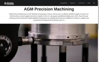 Agmprecision.com Screenshot 2024-06-28 20:53:22