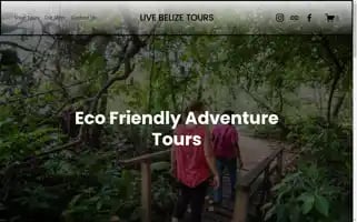 Livebelizetours.com Screenshot 2024-04-25 04:23:21