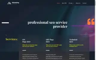 Professionalseoserviceprovider.com Screenshot 2024-05-28 04:50:59