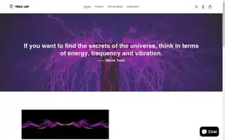 Teslacoil.shop Screenshot 2024-04-19 13:06:32