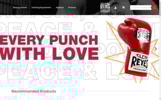 Cletoreyesboxing.com Screenshot 2024-06-11 15:24:15