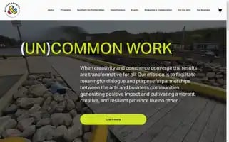 Businessandartsnl.com Screenshot 2024-06-12 09:55:16