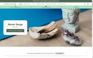 Mareesauge.com Screenshot 2024-05-03 21:13:31