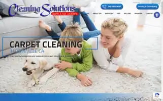 Carpetstoclean.com Screenshot 2024-05-15 16:42:29