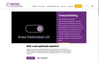 Hersenstichting.nl Screenshot 2024-07-01 01:36:59