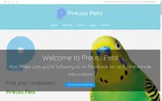 Preusspets.com Screenshot 2024-06-12 02:21:22
