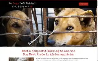Nodogs-leftbehind.com Screenshot 2024-05-28 15:32:21