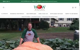 Wallacewow.com Screenshot 2024-05-05 14:42:38