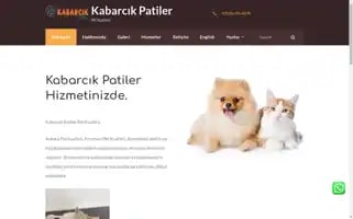 Kabarcikpatiler.com Screenshot 2024-05-19 08:39:54