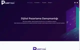 Purption.com Screenshot 2024-06-27 05:34:25