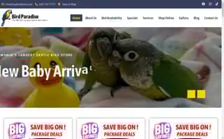 Birdparadise.com Screenshot 2024-05-08 19:22:23