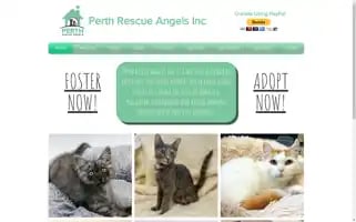 Perthrescueangels.org Screenshot 2024-06-29 11:19:40
