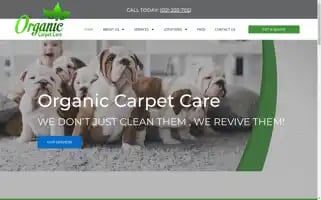 Organiccarpetcare.com Screenshot 2024-05-16 10:59:12